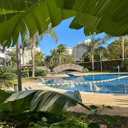 Margo El Eden Residencial Lägenhet Gandía Exteriör bild