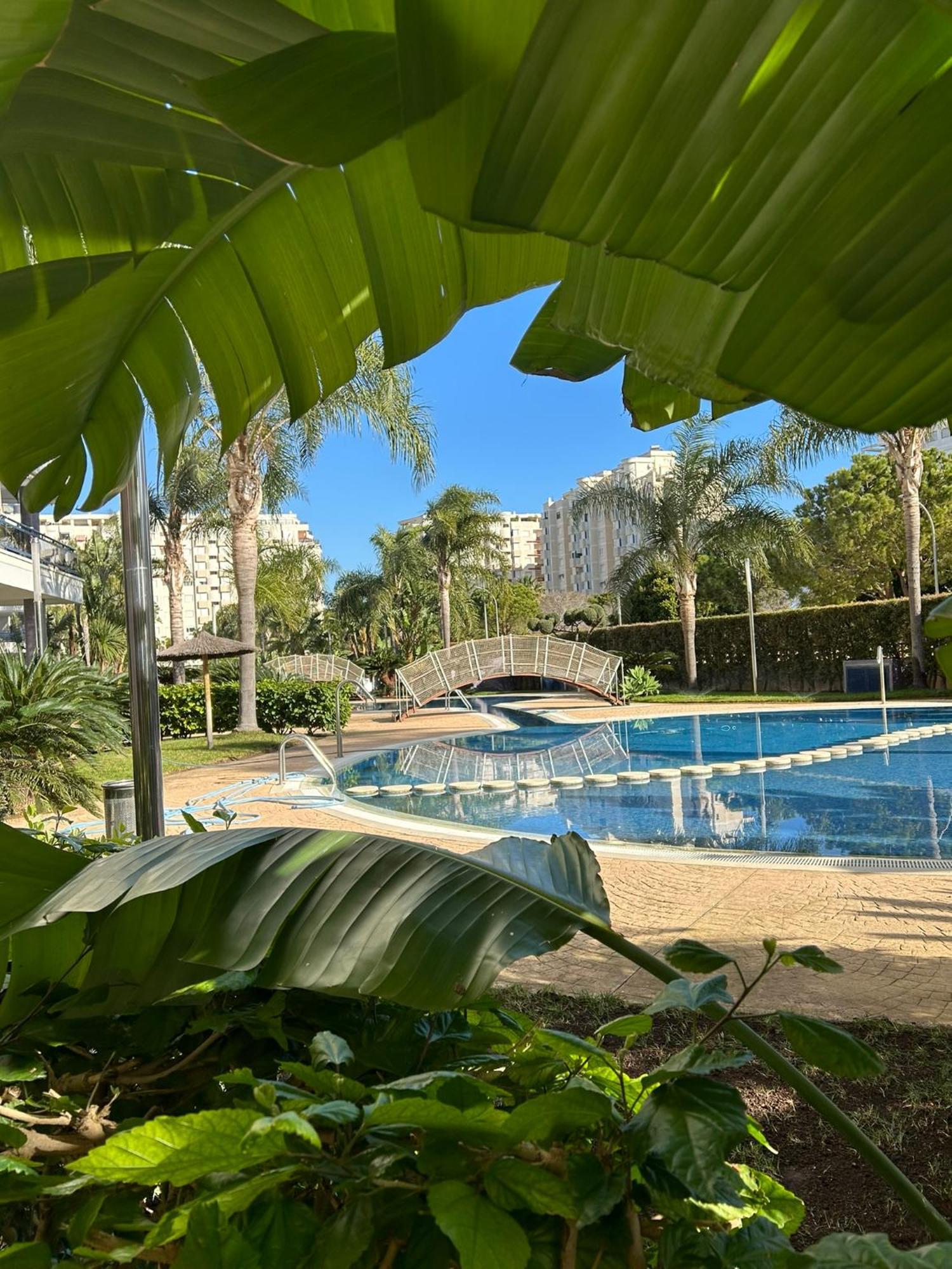 Margo El Eden Residencial Lägenhet Gandía Exteriör bild