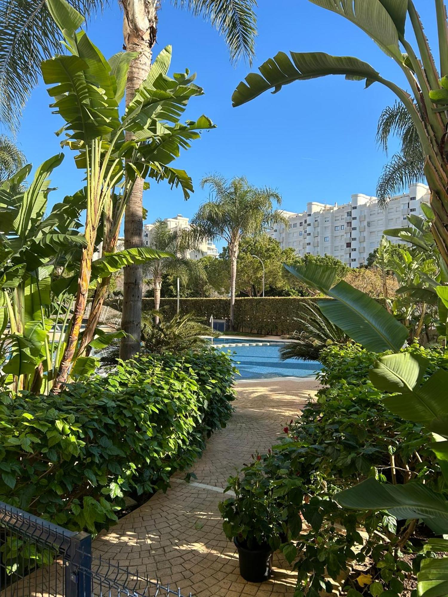 Margo El Eden Residencial Lägenhet Gandía Exteriör bild